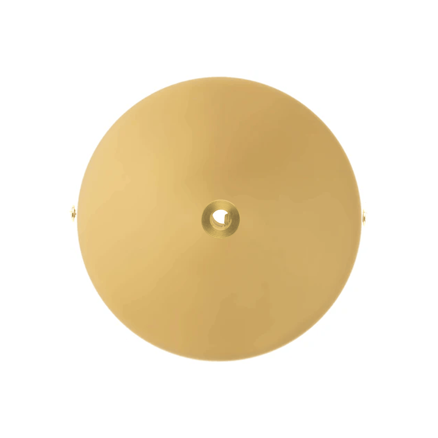 Single Port Ceiling Canopy
