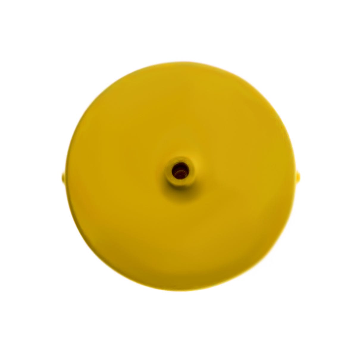 Boutique Single Port Ceiling Canopy