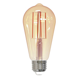 Edison LED Bulb