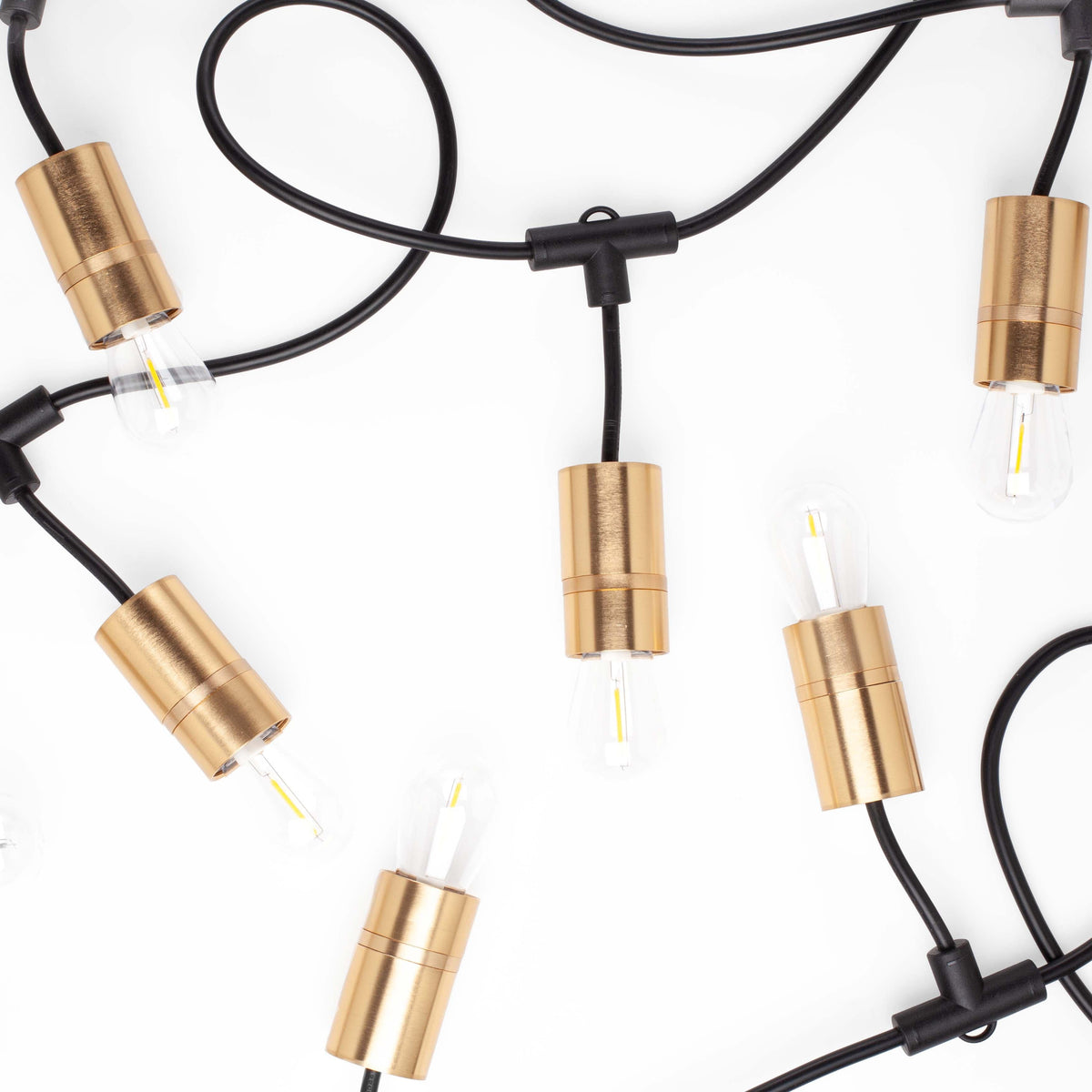 Outdoor Lighting String Lights | AiO Fixture | Color Cord Company