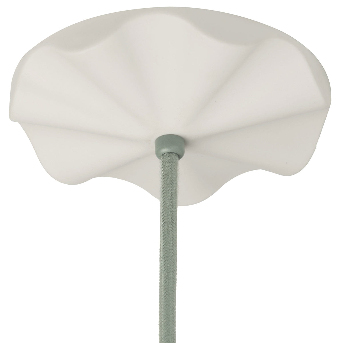 Fleur raw porcelain ceiling canopy with Sage cord