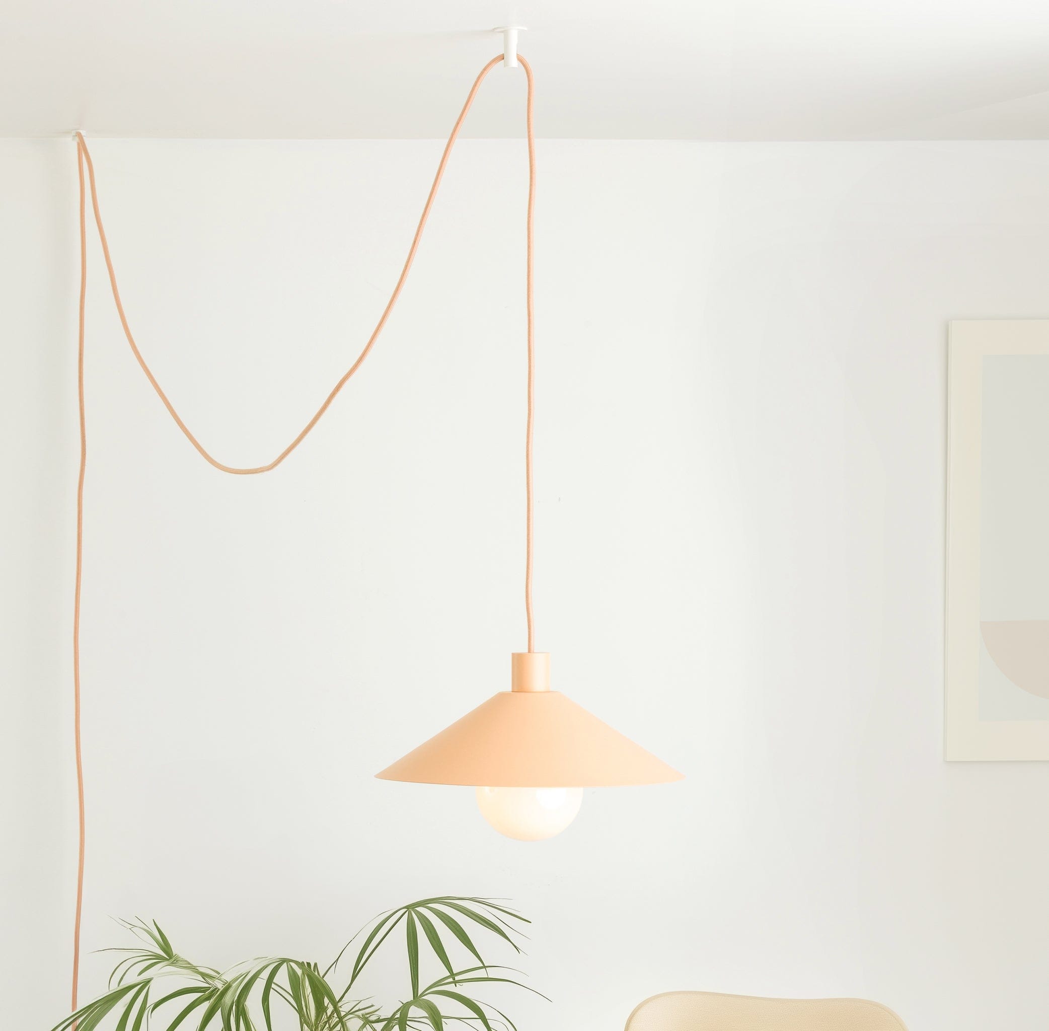 Hooks for Hanging Lights | Easy to Use | Color Cord Company