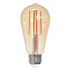 Edison LED Bulb