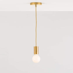 AiO Single Port Pendant Light