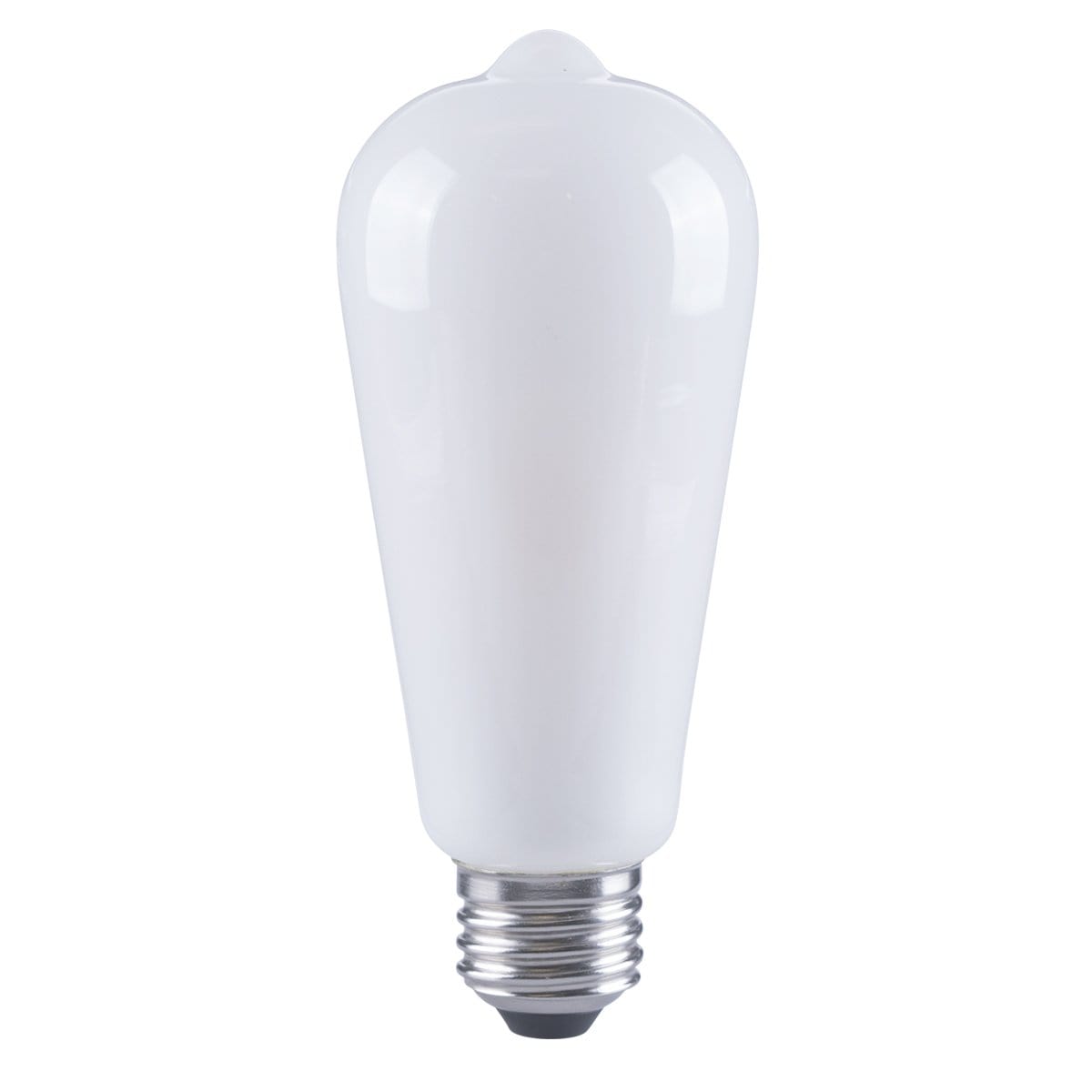 Edison LED Bulb