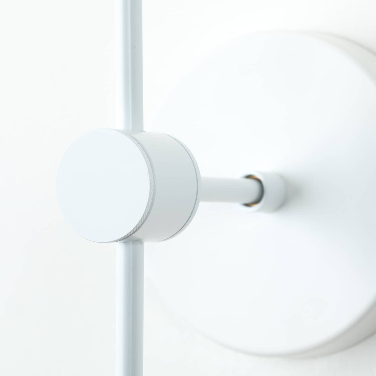 Duo Plug-In Sconce